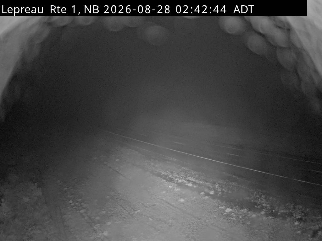 Web Cam image of Lepreau / New River (NB Highway 1)