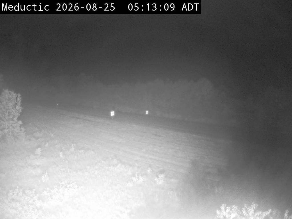 Web Cam image of Meductic (NB Highway 2)