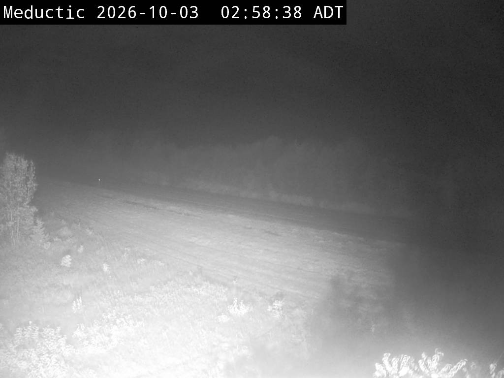 Web Cam image of Meductic (NB Highway 2)