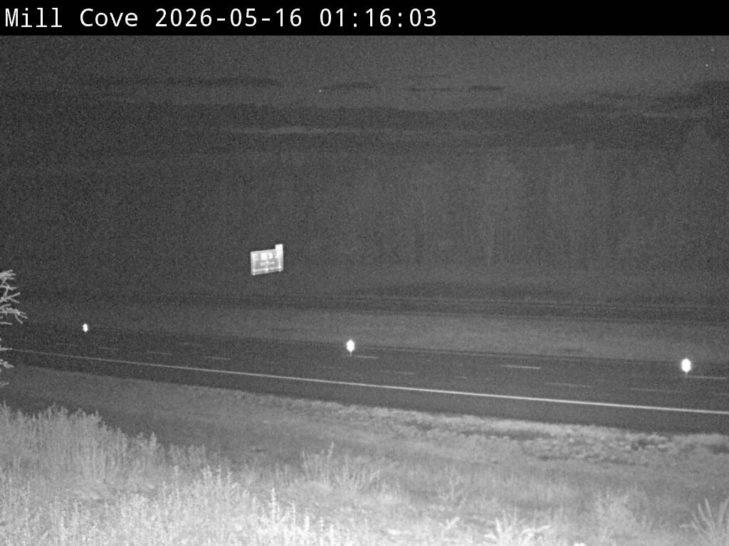 Web Cam image of Mill Cove (NB Highway 2)