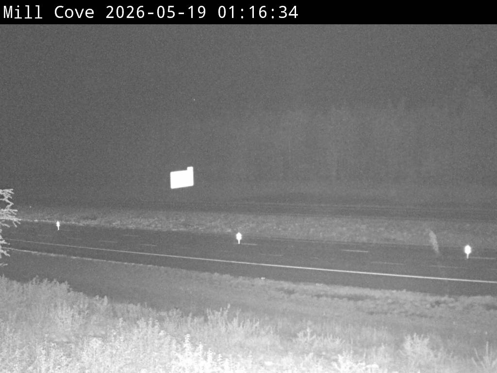 Web Cam image of Mill Cove (NB Highway 2)
