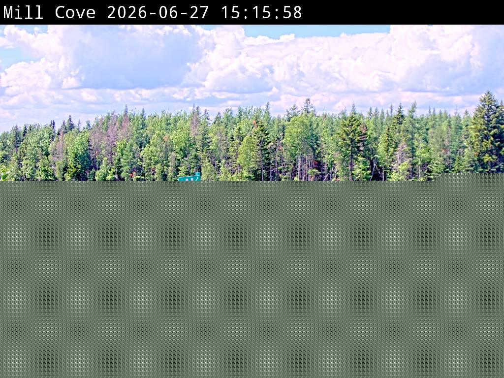 Web Cam image of Mill Cove (NB Highway 2)