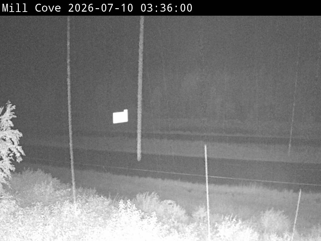 Web Cam image of Mill Cove (NB Highway 2)