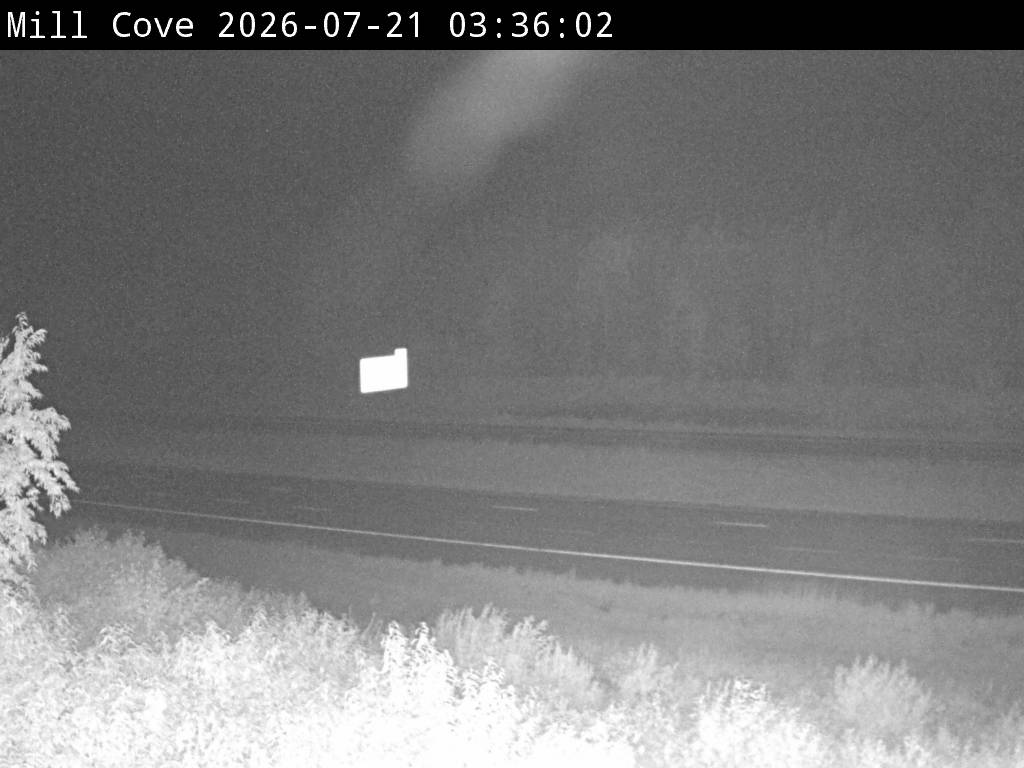 Web Cam image of Mill Cove (NB Highway 2)