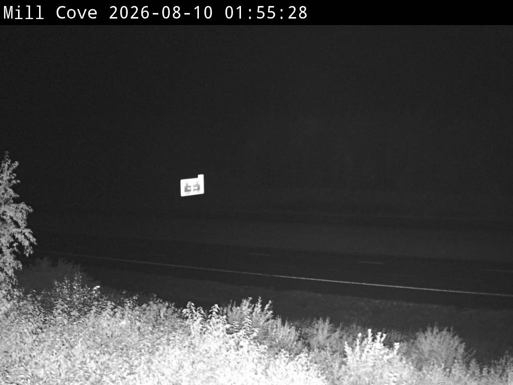 Web Cam image of Mill Cove (NB Highway 2)