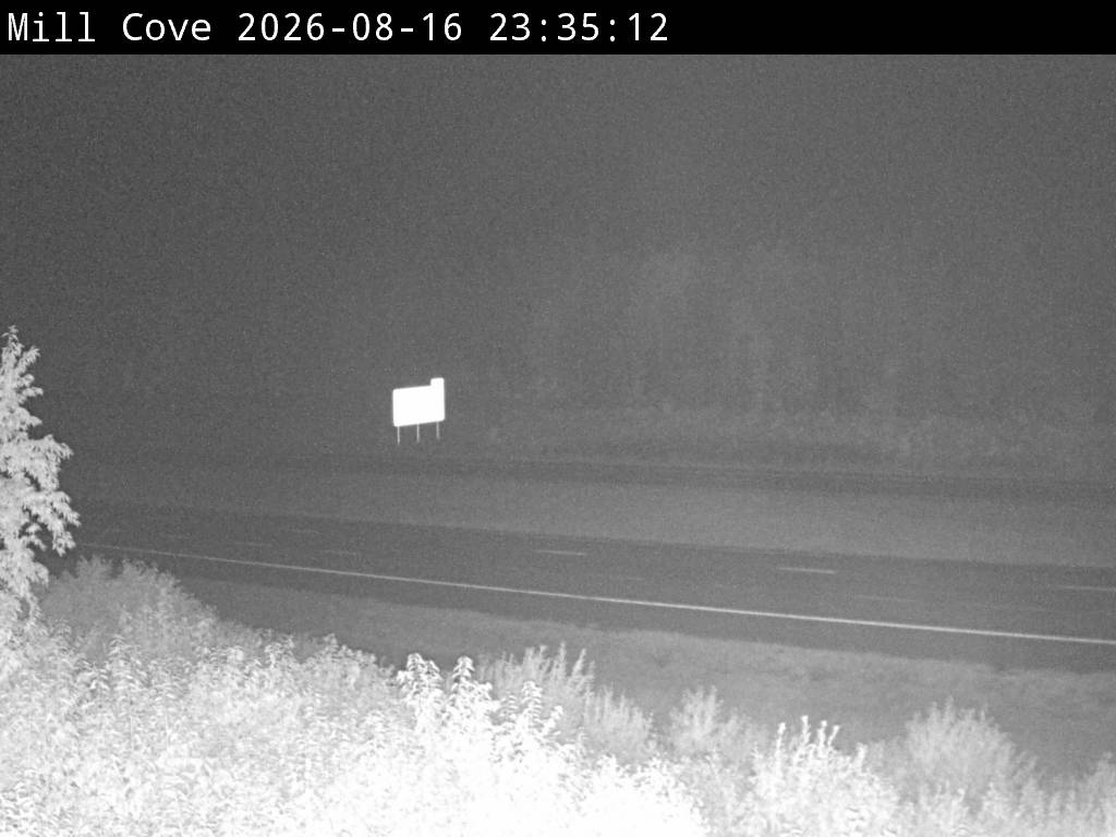 Web Cam image of Mill Cove (NB Highway 2)