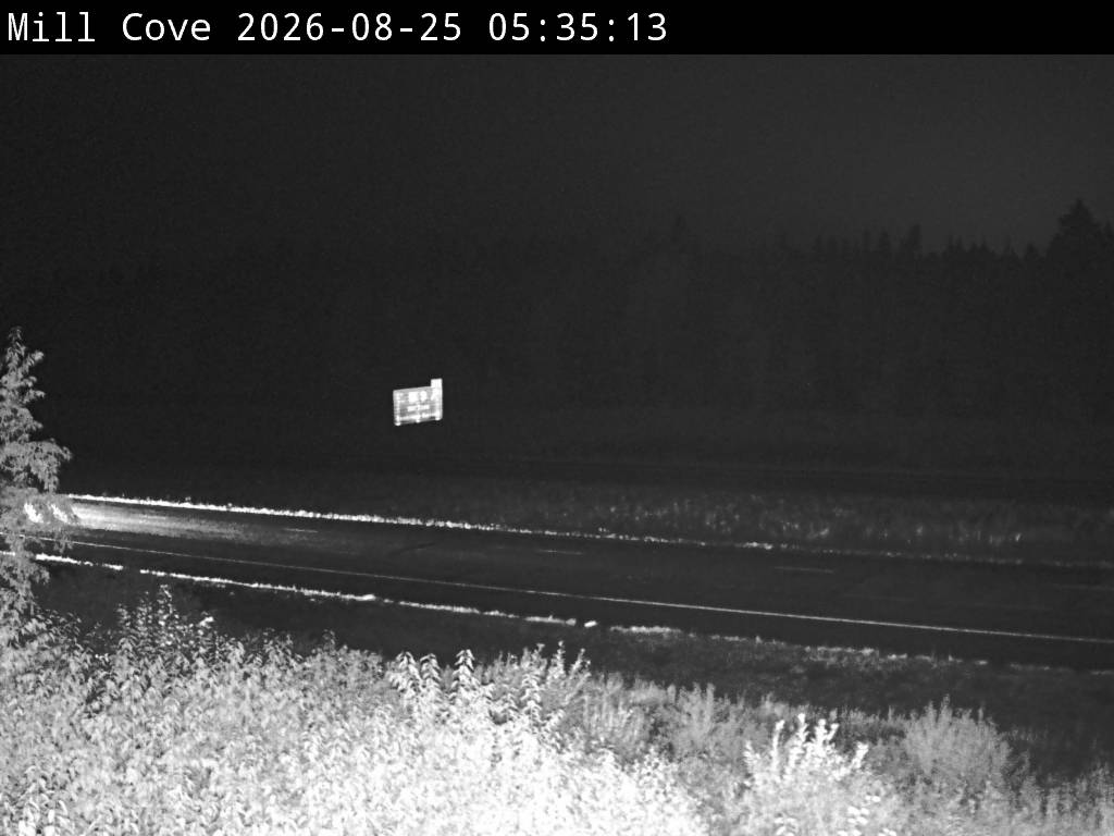 Web Cam image of Mill Cove (NB Highway 2)