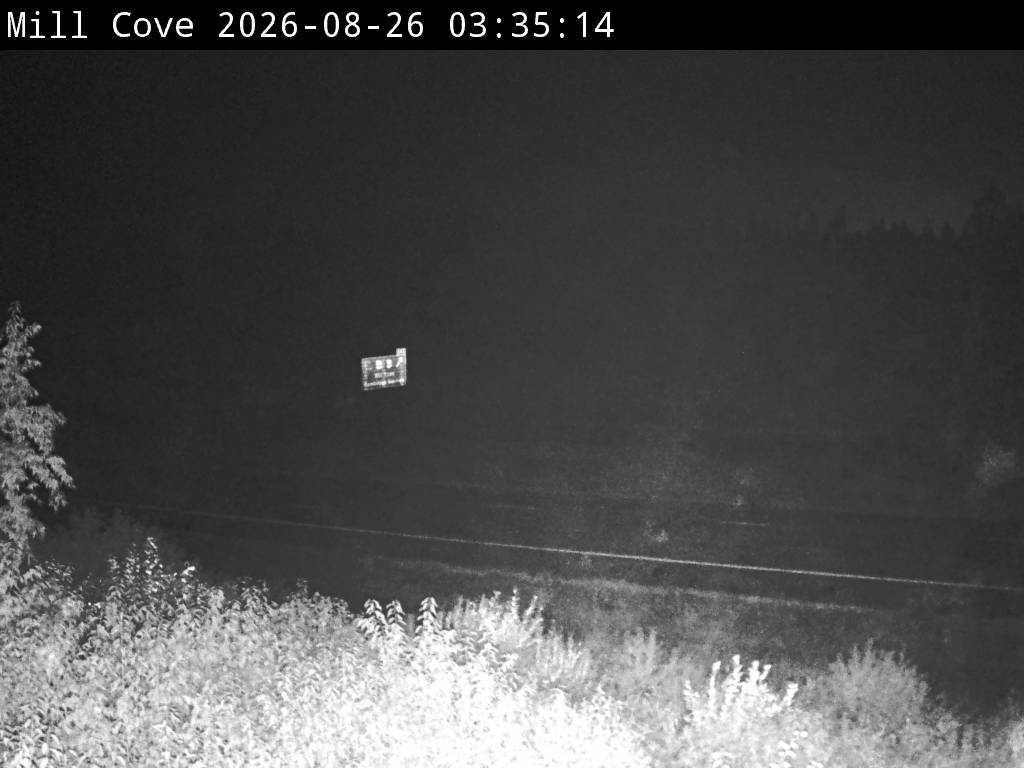 Web Cam image of Mill Cove (NB Highway 2)