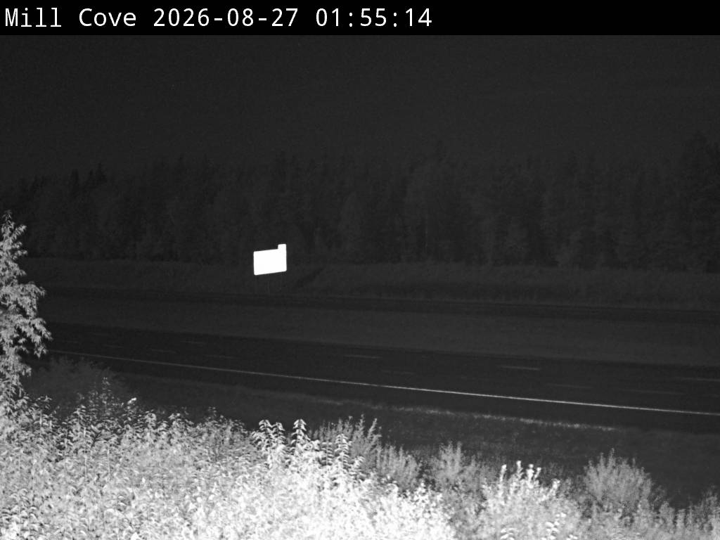 Web Cam image of Mill Cove (NB Highway 2)