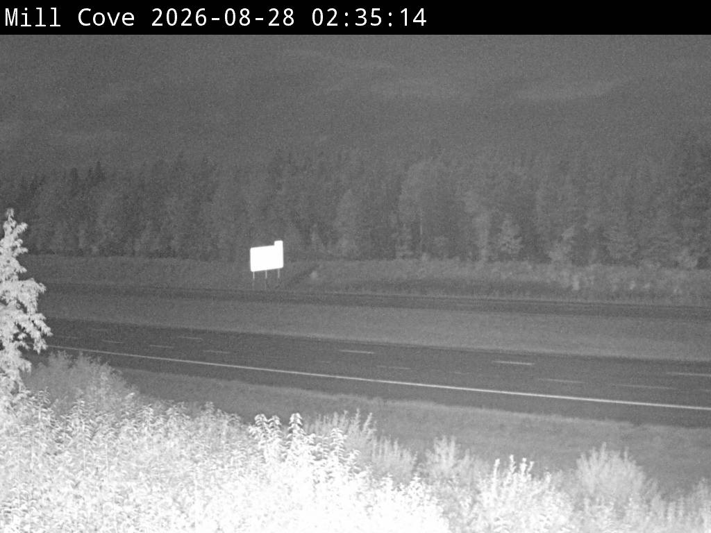 Web Cam image of Mill Cove (NB Highway 2)