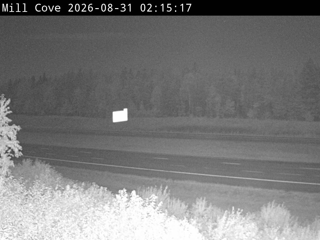 Web Cam image of Mill Cove (NB Highway 2)