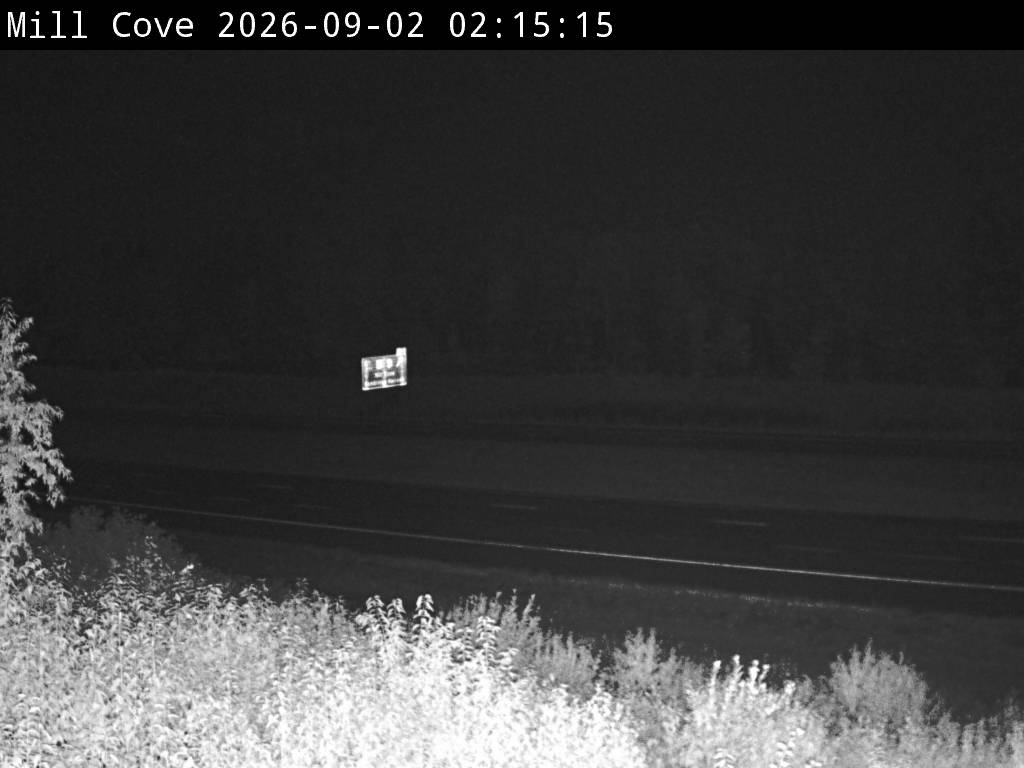 Web Cam image of Mill Cove (NB Highway 2)