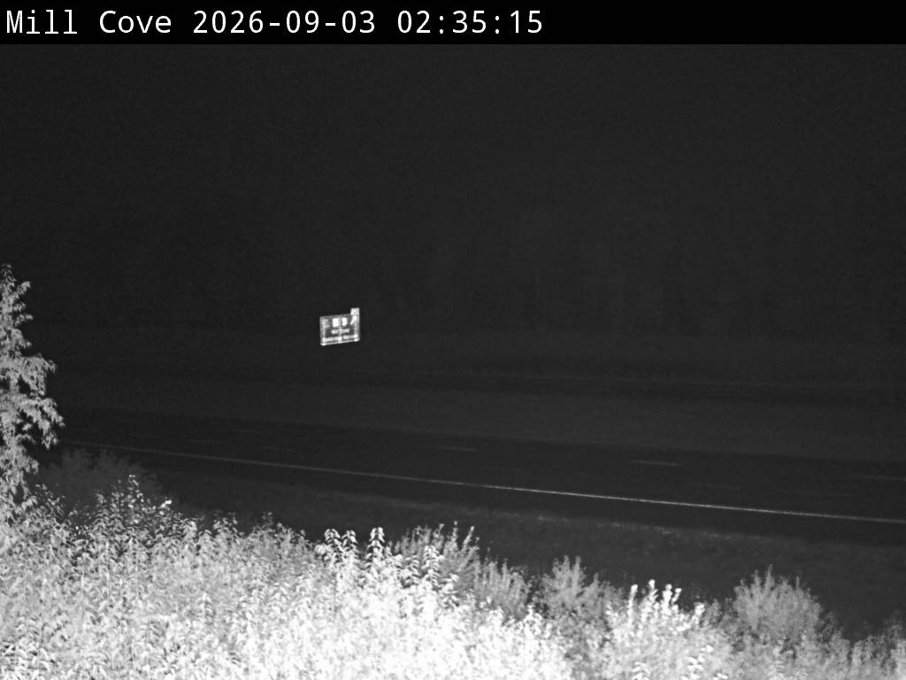 Web Cam image of Mill Cove (NB Highway 2)