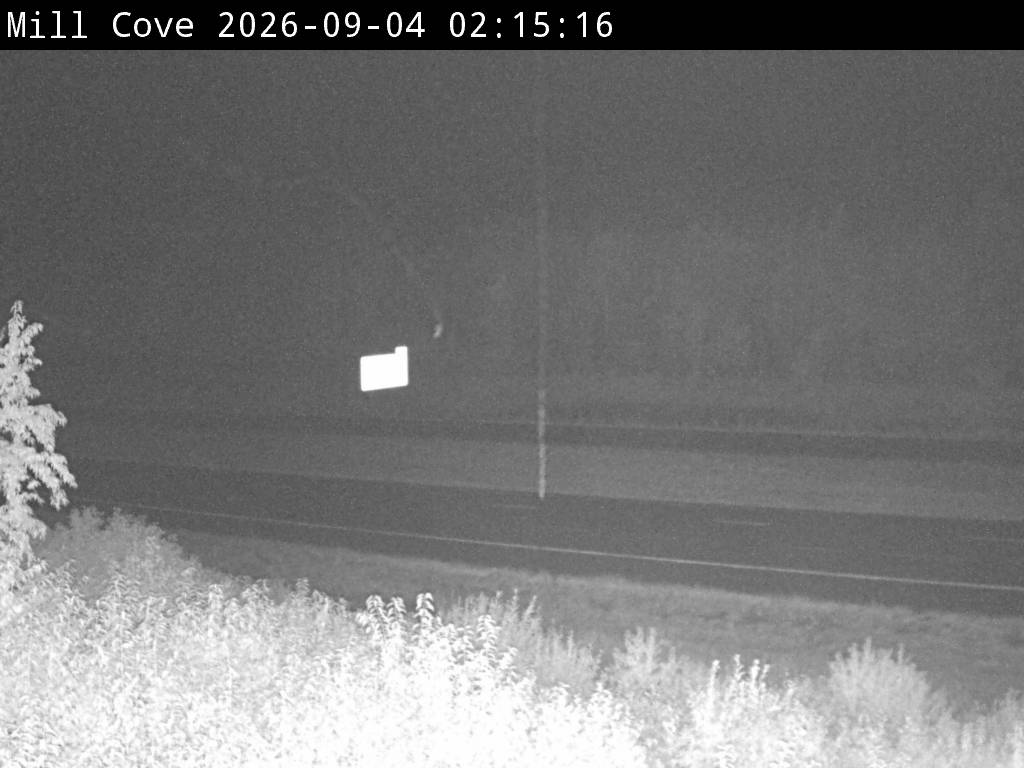 Web Cam image of Mill Cove (NB Highway 2)