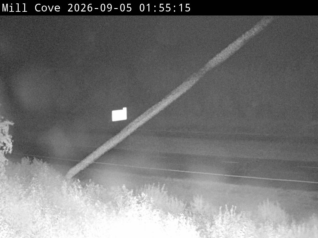 Web Cam image of Mill Cove (NB Highway 2)