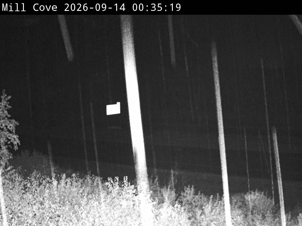 Web Cam image of Mill Cove (NB Highway 2)
