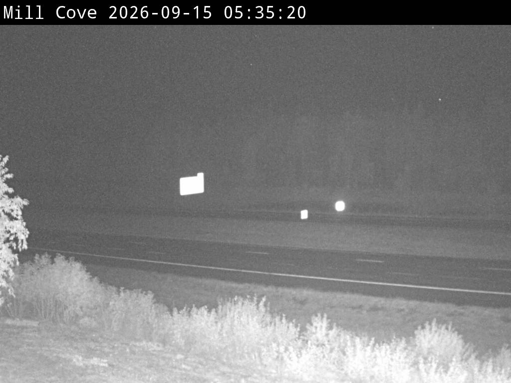 Web Cam image of Mill Cove (NB Highway 2)