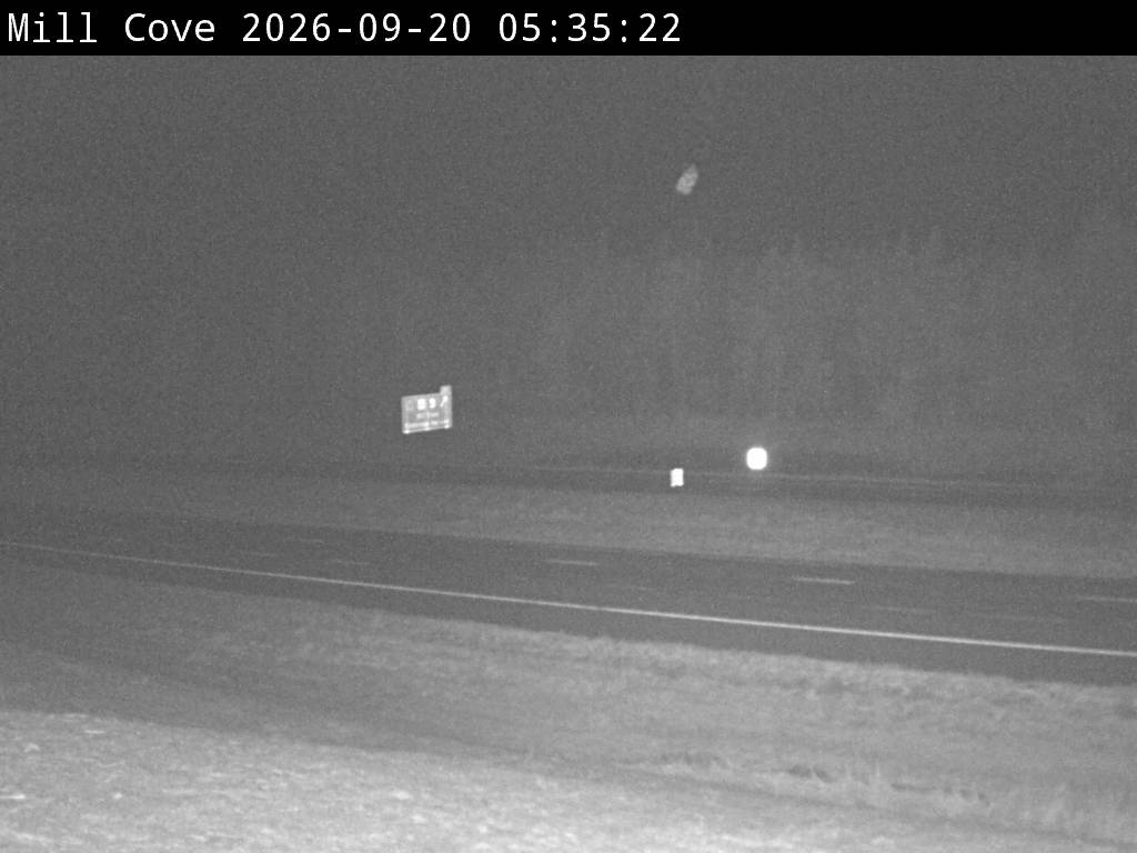 Web Cam image of Mill Cove (NB Highway 2)