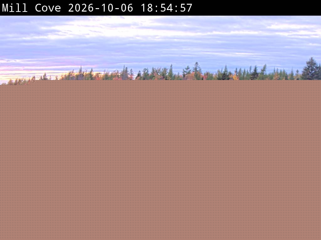 Web Cam image of Mill Cove (NB Highway 2)
