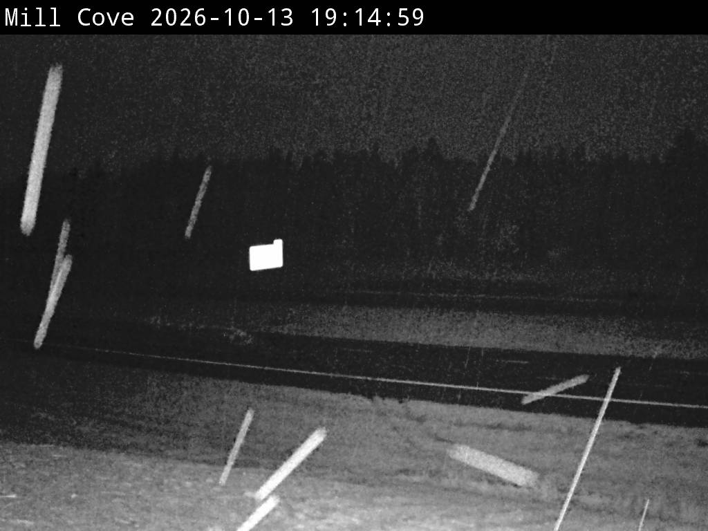 Web Cam image of Mill Cove (NB Highway 2)