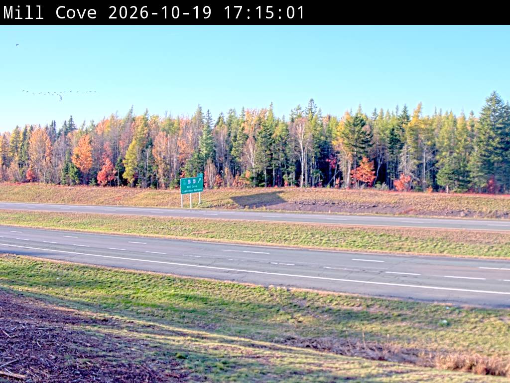 Web Cam image of Mill Cove (NB Highway 2)