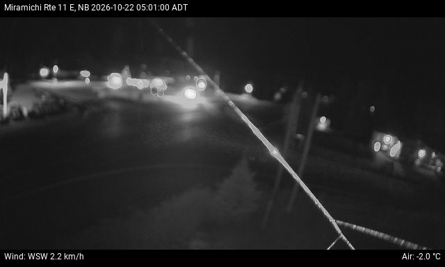 Web Cam image of Miramichi (NB Highway 11)
