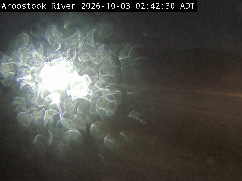Web Cam image of Aroostook River (NB Highway 2)