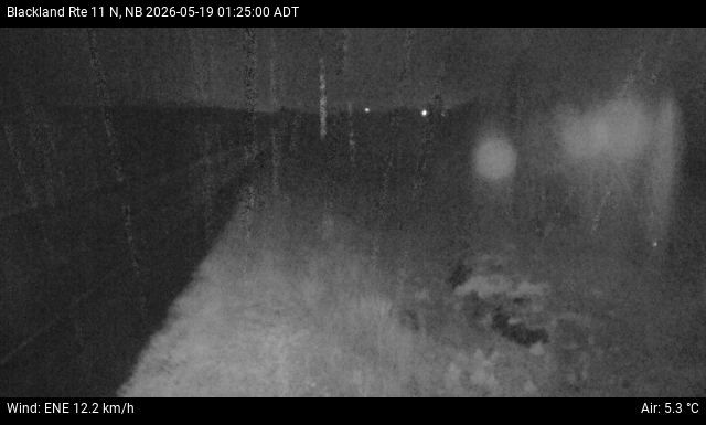 Web Cam image of Blackland (NB Highway 11)
