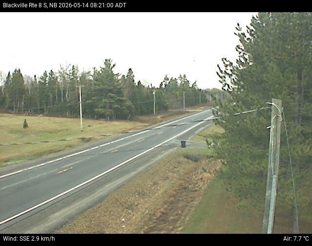 Web Cam image of Blackville (NB Highway 8)