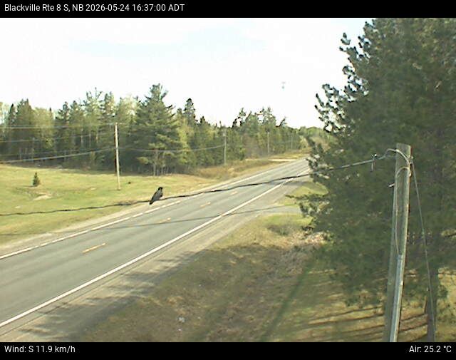 Web Cam image of Blackville (NB Highway 8)