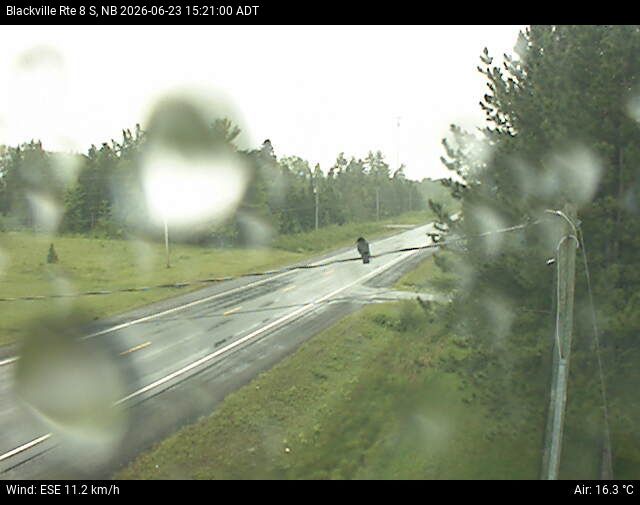 Web Cam image of Blackville (NB Highway 8)
