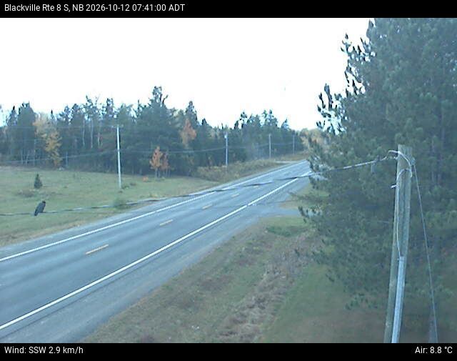 Web Cam image of Blackville (NB Highway 8)