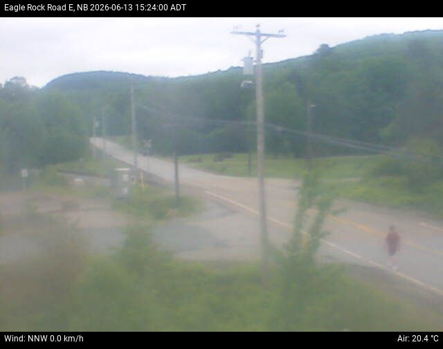 Web Cam image of Welsford (Eagle Rock Road)
