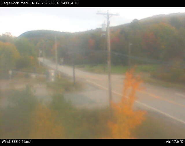 Web Cam image of Welsford (Eagle Rock Road)