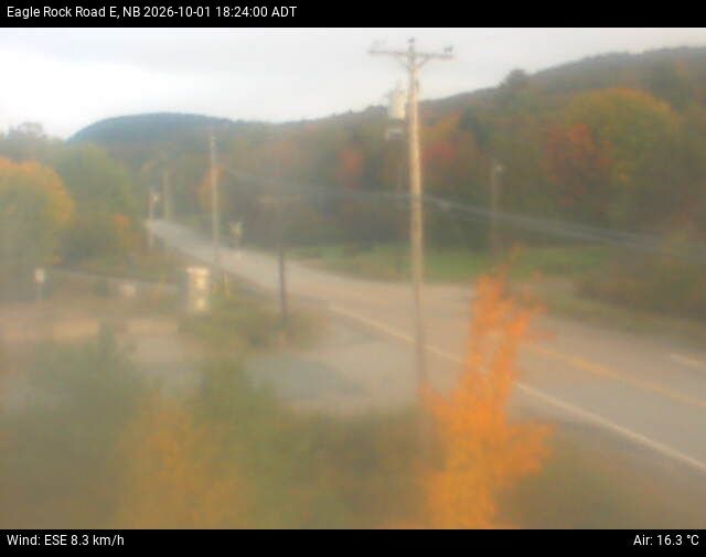 Web Cam image of Welsford (Eagle Rock Road)