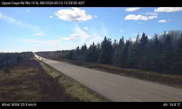 Web Cam image of Upper Cape Road (NB Highway 16)