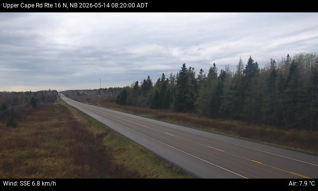 Web Cam image of Upper Cape Road (NB Highway 16)