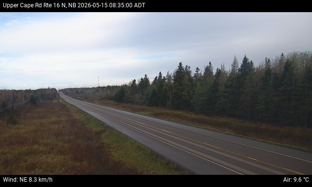 Web Cam image of Upper Cape Road (NB Highway 16)