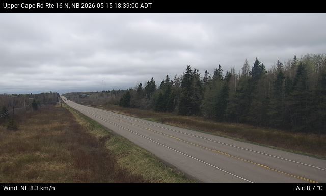 Web Cam image of Upper Cape Road (NB Highway 16)