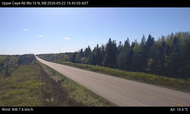 Web Cam image of Upper Cape Road (NB Highway 16)