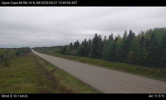 Web Cam image of Upper Cape Road (NB Highway 16)