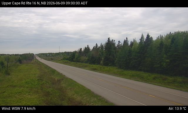 Web Cam image of Upper Cape Road (NB Highway 16)
