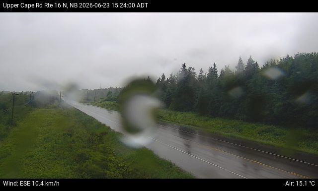 Web Cam image of Upper Cape Road (NB Highway 16)