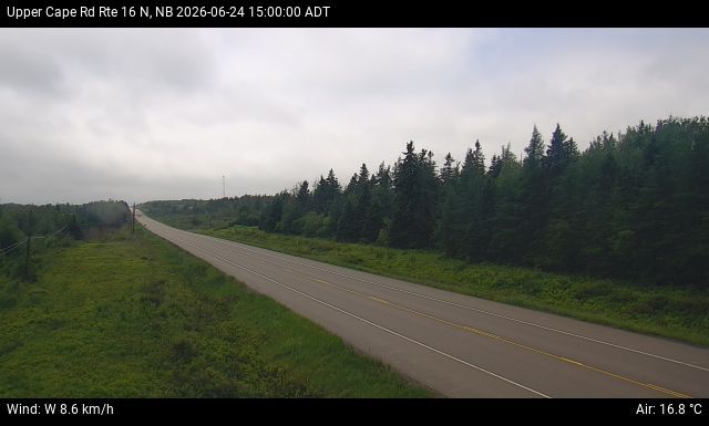 Web Cam image of Upper Cape Road (NB Highway 16)