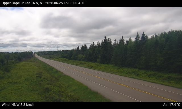 Web Cam image of Upper Cape Road (NB Highway 16)