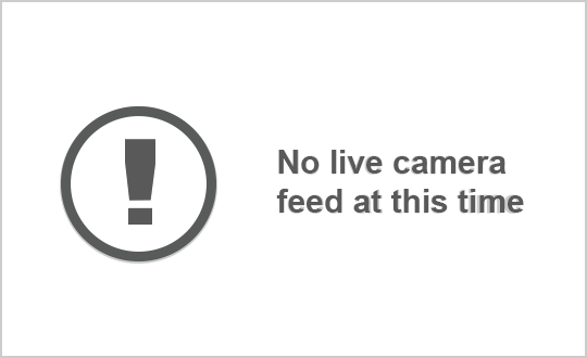 Web Cam image of Upper Cape Road (NB Highway 16)
