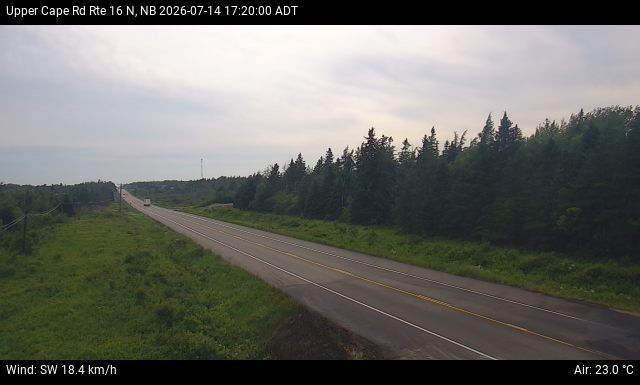 Web Cam image of Upper Cape Road (NB Highway 16)