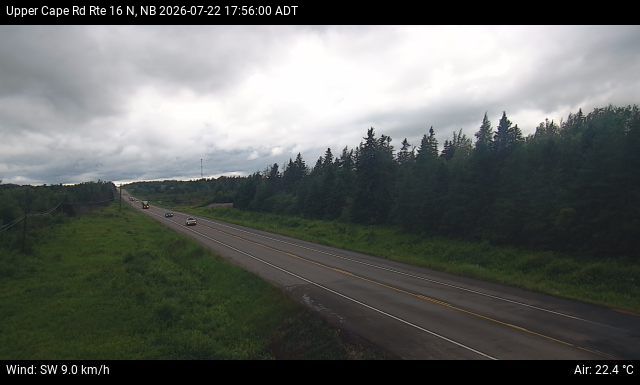 Web Cam image of Upper Cape Road (NB Highway 16)