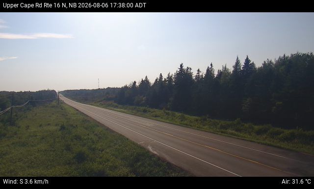 Web Cam image of Upper Cape Road (NB Highway 16)