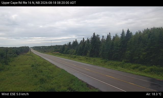 Web Cam image of Upper Cape Road (NB Highway 16)